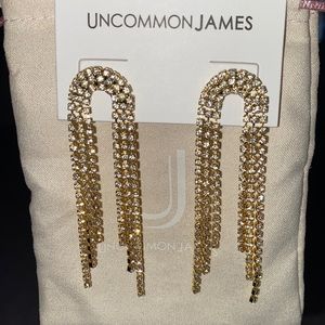 Uncommon James life of the party earrings